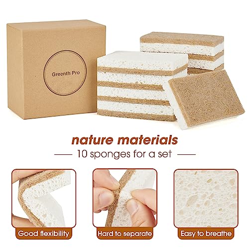Greenth Pro 10 Pack Nature Dish Sponge - Natural Kitchen Sponge - Eco Friendly Coconut Fiber And Wood Cellulose Scrubber Sponge #TOP2