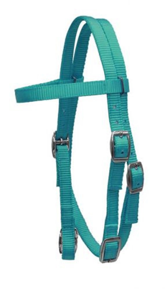 Showman Pony Size Premium Teal Soft Durable 2 Ply Nylon Browband Headstall Adjustable Bridle