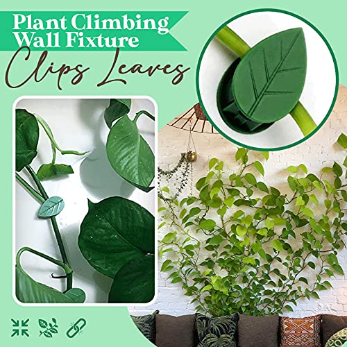 Alexsix 30 peças de clipes de parede para escalada de plantas, clipe fixo, formato de folha, grampo
