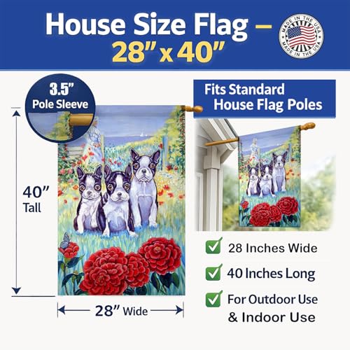 Drapeau maison Boston Terrier grand format extérieur pavillon toile imprimée - 5