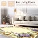 Flatwoven Area Rug 5x7 ft, Classic Fleur de Filigree with Rococo Floral Accents and Vine Details, Non Slip, Stain Resistant, Washable High Traffic Area Rugs for Living Room, Bedroom Decor (with Pad)