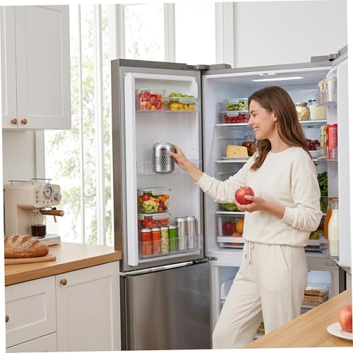 Desodorante para refrigerador de acero inoxidable plateado 3