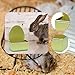 KiBcsLic Rabbit Feeder for Cage Water Bowl Hanging Bunny Food Dish Feeding Basin for Chinchilla, Green