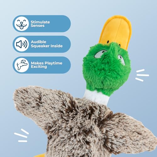 Best Pet Supplies Interaktives Mallard Mates Hundespielzeug mit knisternder und quietschender Bereicherung für kleine und mittelgroße Rassen, Welpen oder Hunde, niedlich und plüschig, Stockente