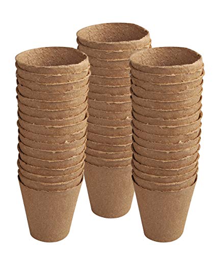 Windhager Anzuchttöpfe 48 Stk. 8 cm Pflanztöpfe Anzucht – Ansicht 5
