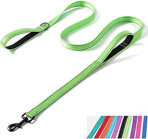 Max and Neo Double Handle Reflective Nylon Dog Leash (6 ft)