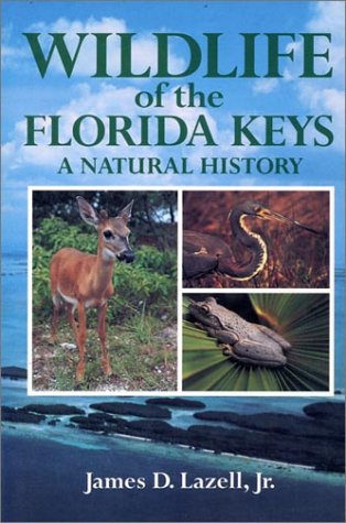How far is homosassa from orlando