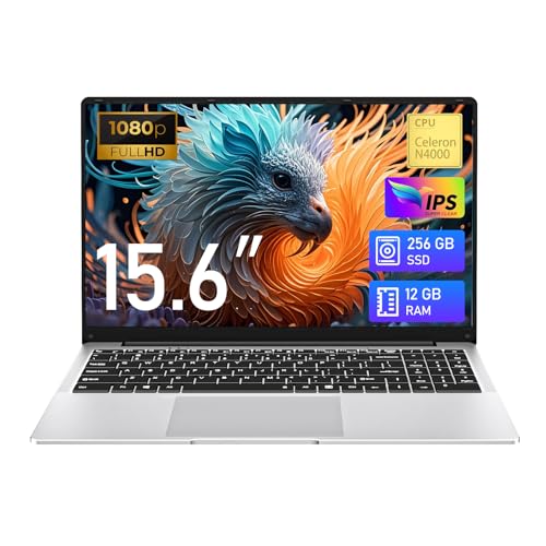 15,6 Pouces jeu Ordinateur Portable 12Go RAM 256Go SSD N4000 PC Portable Joueurs Netbook Écran Full HD 1920 x 1080 Win 11 Laptop Wi-Fi5 BT Mini HDMI Ouverture 180 Degrés pour Étudiants Et Entreprises