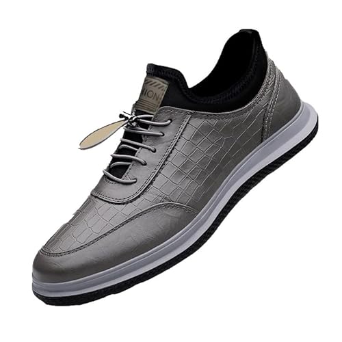 [koulaya] JWAV[Y Y vC y Xj[J[ YV[Y JWA rWlXJWA h EH[LOV[Y  Ȃ K ΂ȂCR 傫TCY