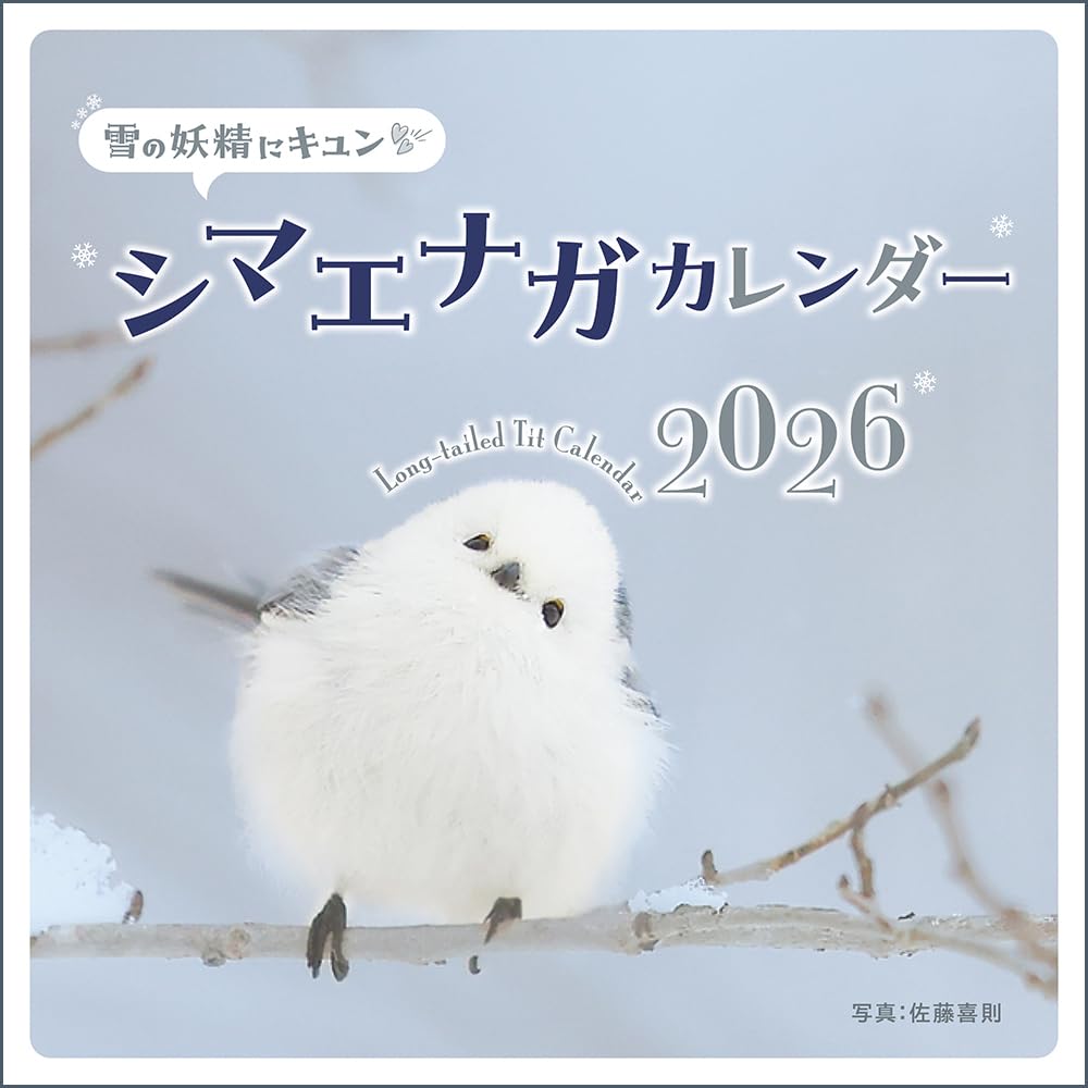 Amazon.co.jp: 雪の妖精にキュン シマエナガカレンダー2026