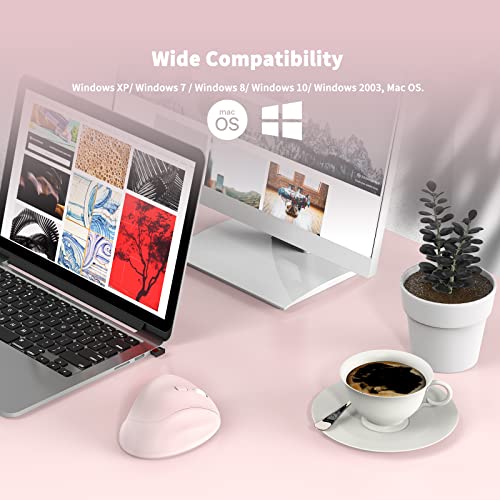 Ergonomic Wireless Mouse With Usb Receiver For Pc Computer, Laptop And Desktop, Ergo Mouse With Silent Clicks, About 16-Month Battery Life, Up To 1600 Dpi & 1 Aa Battery Powered, Pink #TOP6