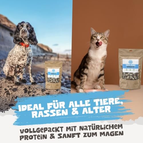 Pets Purest Sprotten Hundesnack & Katzensnack 100g - Natürlicher, luftgetrockneter Fischsnack für ausgewachsene/ältere Hunde, Welpen, Katzen - Getreide-, Gluten- & laktosefreie