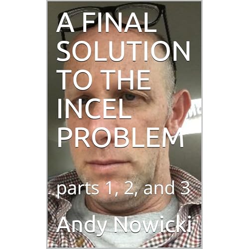 A FINAL SOLUTION TO THE INCEL PROBLEM Audiolibro Por Andy Nowicki arte de portada