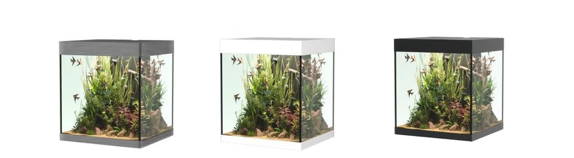 OPERA AQUARIUM 80 WHITE