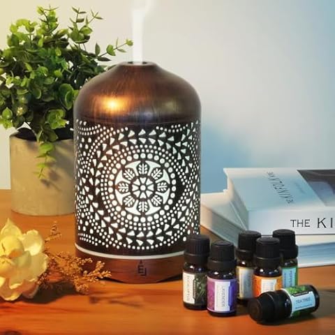 Earnest Living Essential Oil Diffuser Bundle Set Metal Diffuser 250 ml Timers Night Lights and Auto Off Function Home Office Humidifier Aromatherapy Diffusers for Essential Oils Cover
