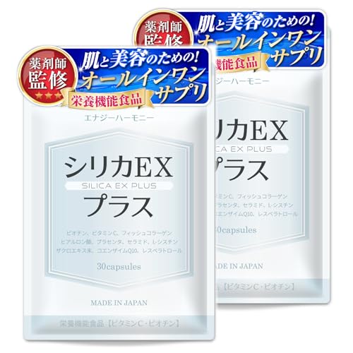 VJEXvX ܎tďC nVJ PCf rI` r^~C 10̔ez I[CTv xmRNR h{@\Hi 30 30 GMPFHꐻ