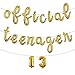 16inch Multicolor Official Teenager Balloons Official Teenager 13 Birthday Decoration 13th Birthday Party suppliers Decorations Banner (L Teenager 13 Gold)