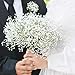 Artflower Babys Breath Artificial Flowers, 12Pcs Baby Breath Flowers Artificial Bulk, Fake White Gypsophila Babies Breath Real Touch Flowers for Wedding Bouquet Floral Arrangement Party Home Decor