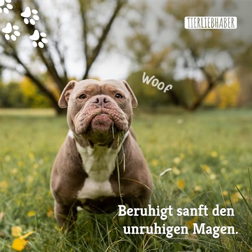 TIERLIEBHABER – Gras & Kotfresser Drops für Hunde – bei Fressen von Gras & Kot – beruhigt den Magen & reduziert Sodbrennen – Grasfresser Drops mit Heilerde, Ulmenrinde & Fenchel (350g | ca. 150 Stück)