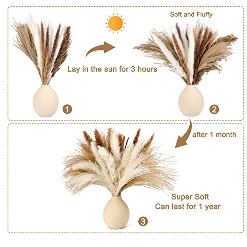 image for Simetufy Natural Dried Pampas Grass 120PCS for Boho Home Decor Mixed D
