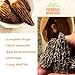 VIGOROUS MOUNTAINS Organic Dried Morel Mushrooms for Cooking, Intact Shapes, Short Stems with Rich Aroma Premium Dry Morels 1.5 oz