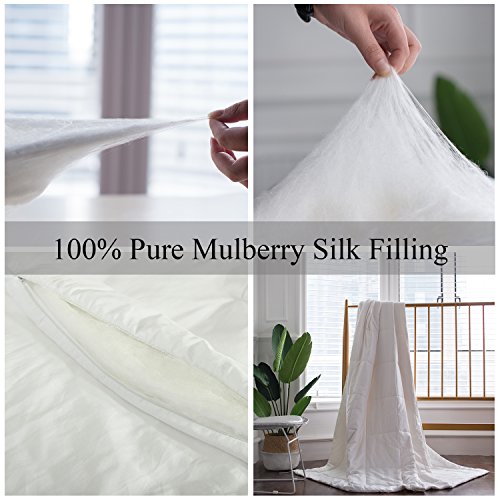 Since Silk Silk Duvet/Quilt, Keep Warm For Winter/Fall Season, 100% Mulberry Silk Filling, Breathable Lightweight (White, Full (80 * 84Inch)) #TOP4