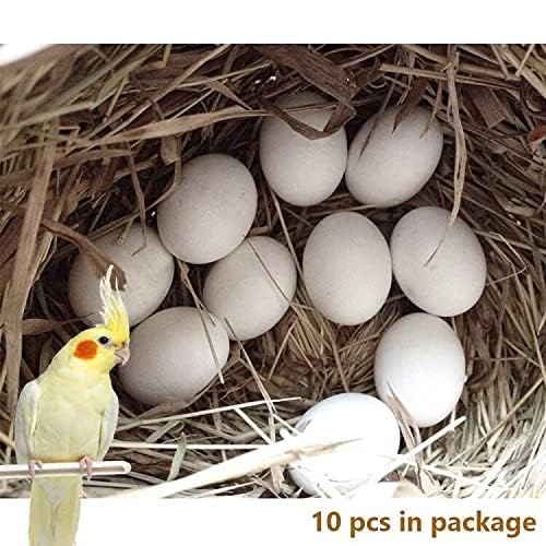 Image of MESINURS Solid Plastic Eggs - Parrot Bird Hatching Replacing Eggs for Guiding Birds to Stop Laying, 10 PCS (M)