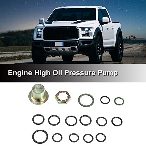 X Autohaux Car Engine High Pressure Oil Pump Hpop Master Service Kit With O-Ring Seal Base Gasket For Ford Powerstroke 7.3L 1994-2003 F6Tz-9417-Aa 2C3Z-9G804-Ab #TOP1
