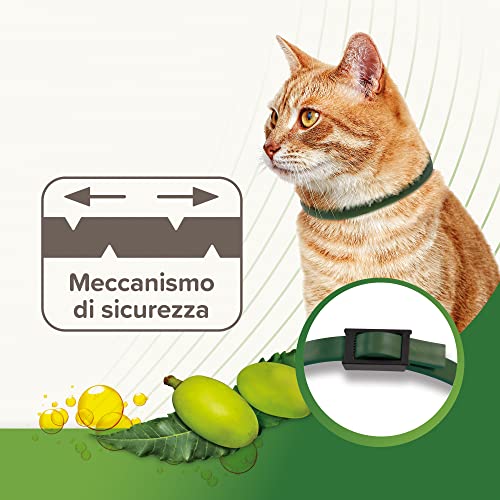 Beaphar Natürlicher Schutz, verstellbares Katzenhalsband mit Neemöl, bis zu 3 Monate, 35 cm