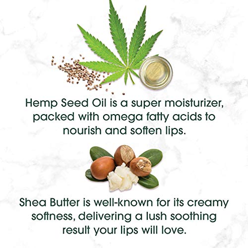 Blistex Hemp & Shea Hydration, 2 Count #TOP5