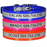 GoTags Reflective Waterproof Dog Collars Personalized, Engraved with Pet Name and Phone Number,...