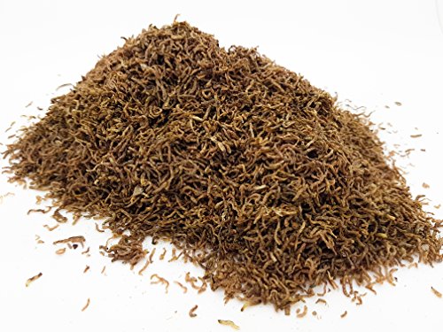 HERONS Freeze Dried Bloodworm Larvae CICHLID DISCUS GOLDFISH BETTA KOI TROPICAL FISH FOOD High protein natural food for all tropical fish (10 gram)