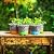 MIXC Plant Nursery Pots with Humidity Dome 4" Soft Transparent Plastic Gardening Pot Planting Containers Cups Planter Small Starter Seed Starting Trays for Seedling with 10pcs Plant Labels?30 Sets…