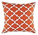 TreeWool Trellis Accent Spring Summer 18x18 Set of 2 Decorative Throw Pillow Covers 100% Cotton Home Decor Pillowcases for Sofa Couch (California Orange)
