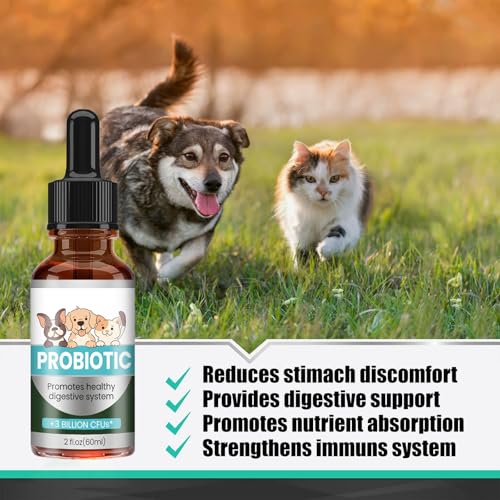 Natürliche Antibiotika für Katze,60ml Verstopfung Reltf Für Katzen,Katzen-Antibiotika-Cat,Probiotika Katze Hund,Natürliches Abführmittel,Förderung der Verdauung