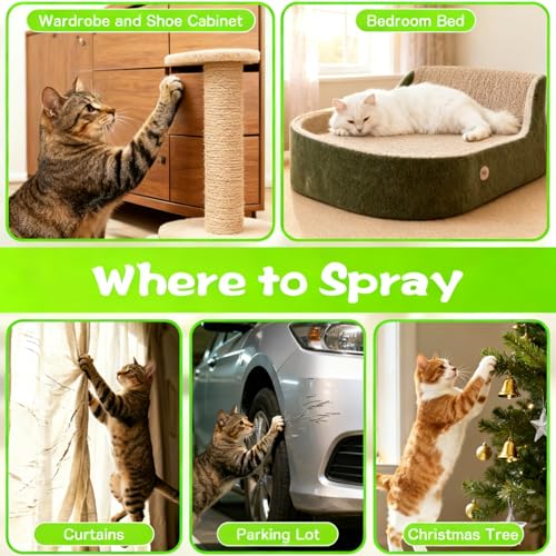Cat Repellent Spray 200ml, Natural Cat Deterrent Spray Indoor & Outdoor, Effective Urine Control Anti Scratch Chew Training Alternative for Furniture Plants Sofa Protection, Family Pet Safe Formula - Image 3
