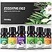 Homasy Aromatherapy Essential Oil Set, 100% Pure Essential Oils Gift Set, Top 6 Natural Essential Fragrance Oil Set for Diffuser, 10ML(Tea Tree, Peppermint, Lavender, Eucalyptus, Lemon Grass, Orange)