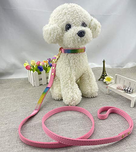 Newtensina 3 Pezzi Colorato Diamante Collare per