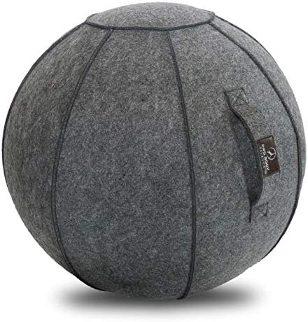 ProBody Pilates Sitting Ball Chair with Handle for Home, Office, Pilates, Yoga, Stability and Fitness - Includes Exercise Ball with Pump