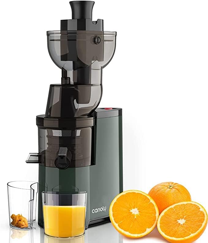 Masticating Juicer, 250W Professional Slow Juicer with 3.5-inch (88mm) Large Feed Chute for Nutrient Fruits and Vegetables, Cold Press Electric Juicer Machines with High Juice Yield, Easy Clean with Brush