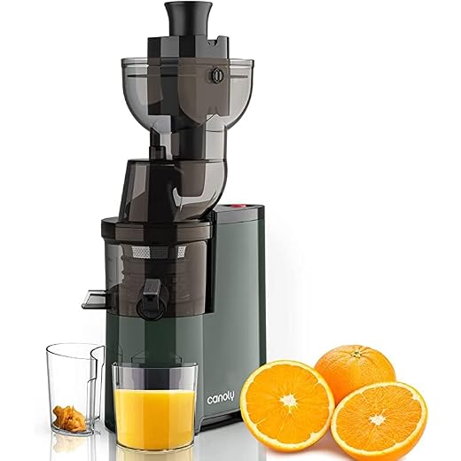 Masticating Juicer, 250W Professional Slow Juicer with 3.5-inch (88mm) Large Feed Chute for Nutrient Fruits and Vegetables, Cold Press Electric Juicer Machines with High Juice Yield, Easy Clean with Brush