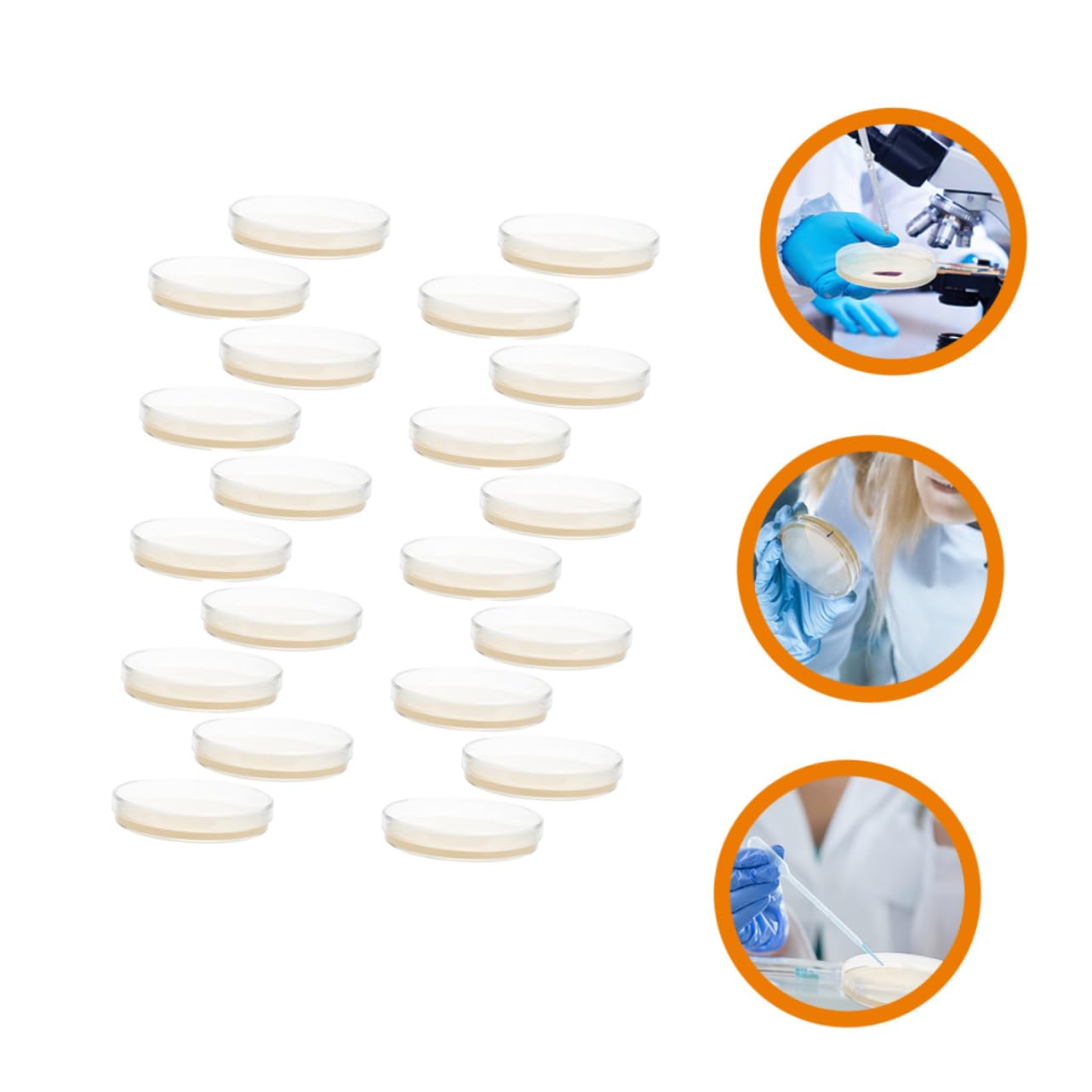 20 Pz Piastra Di Agar Nutriente Piastre Di Petri Con Agar Piastre Di Agar Per Esperimenti Piastra Di Petri Piastre Di Agar Petri Piatti Di Agar Ai 7c Ordinario Attrezzatura