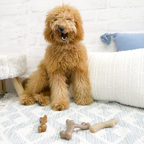 Image of Nylabone Strong Chew Gourmet Style Dog Chew Toy, Small, 2 Count