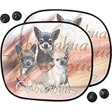 Pets-easy Pare Soleil Chien pour Voiture de Chihuahua Poil Court