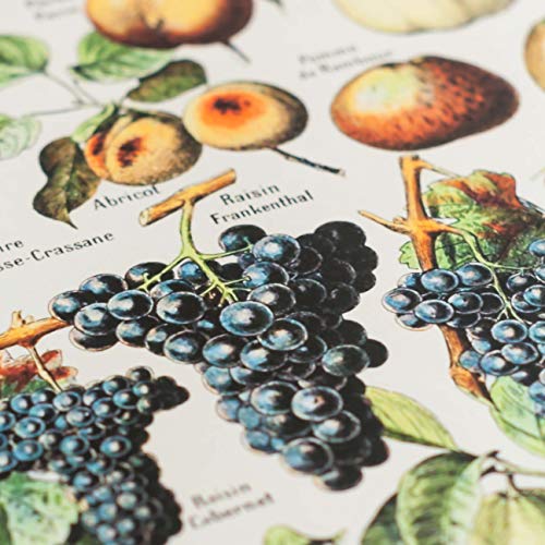 Follygraph Frutta Poster Vintage Poster, Adolphe