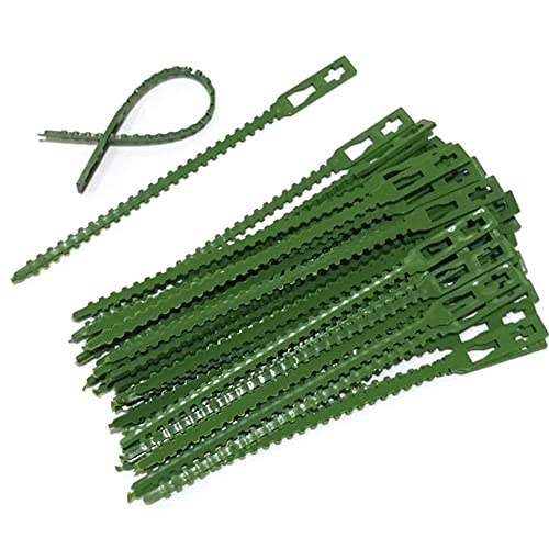 ZESLIV 120 bridas para plantas, 23 cm, ajustables, de plástico, para jardín, soporte para plantas Cover