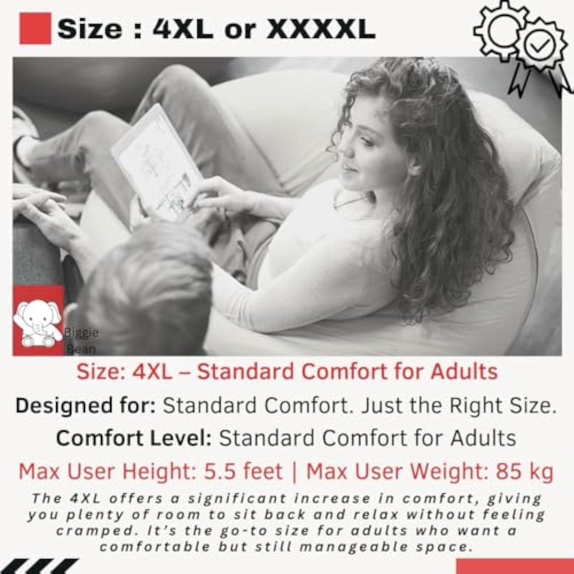 Bean Bag with Free Cushion & Footrest, Swag Print