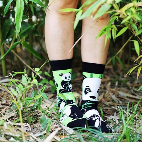 Image of 2 Pairs Cartoon Animal Crew Socks Fun Cotton Mid Calf Socks for Women