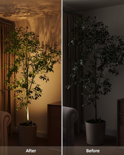 EZVALO Indoor Spotlights, Picture Lights for Wall, Uplights