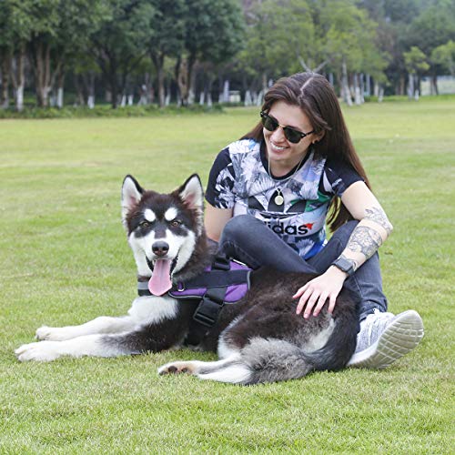 Bolux Dog Harness, No-Pull Reflective Dog Vest, Breathable Adjustable Pet Harness with Handle for Outdoor Walking - No More Pulling, Tugging or Choking (Purple, XL)